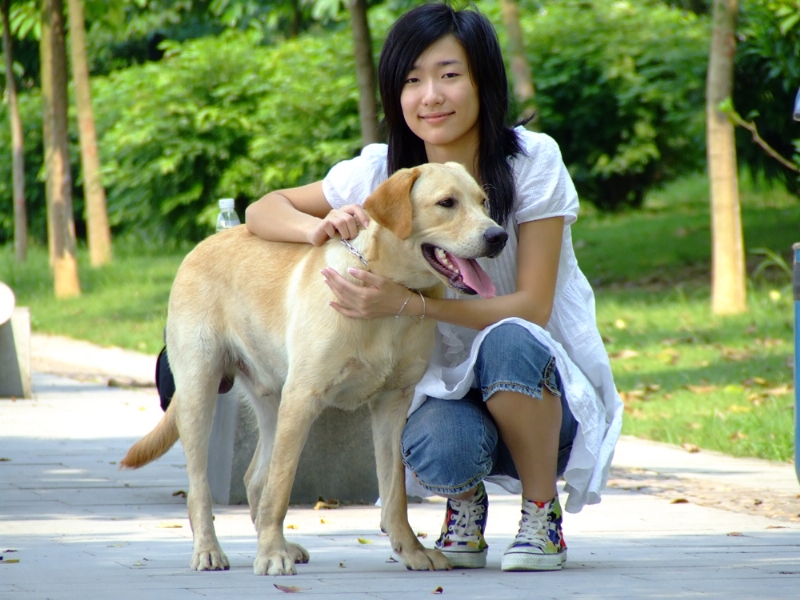 风中的绿叶的第一张照片--福清相亲服务中心