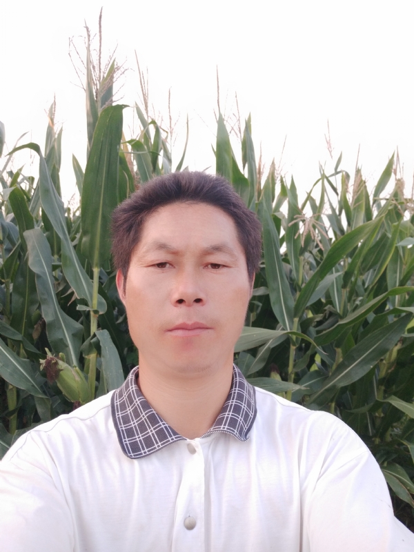 四海游龙的第二张照片--福清相亲服务中心