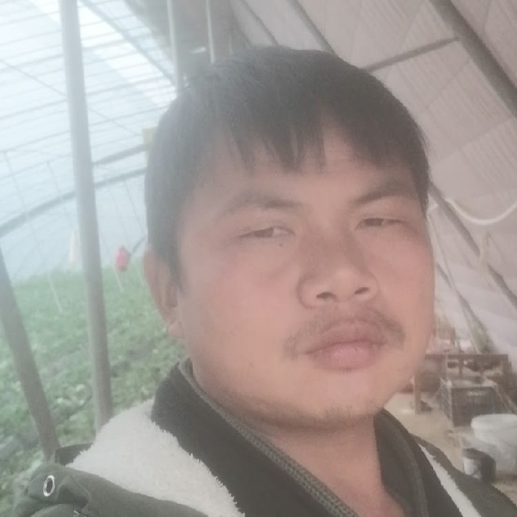 孤狼‘的第一张照片--福清相亲服务中心