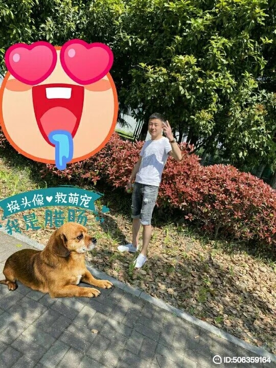 我若不坚强谁替我勇敢的第一张照片--福清相亲服务中心