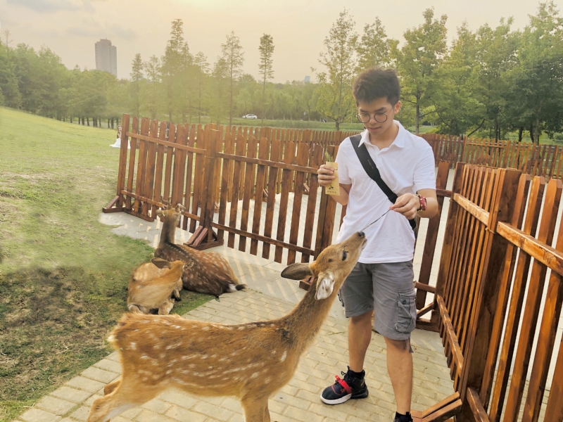 米兰的小铁匠的第一张照片--福清相亲服务中心