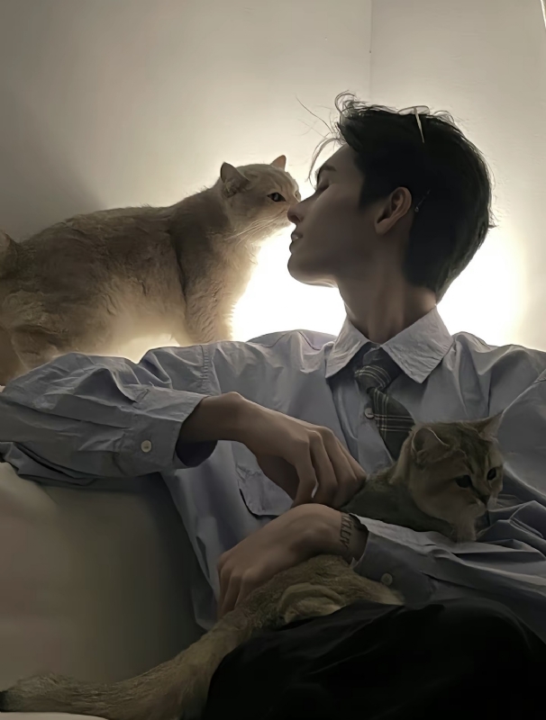 怪猫的第一张照片--福清相亲服务中心