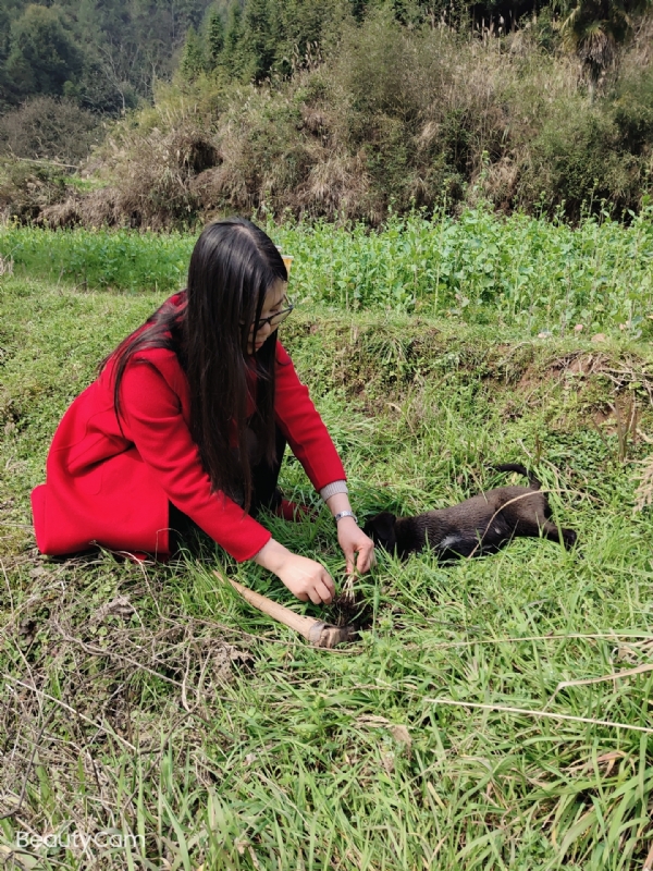 下一个春和秋的第一张照片--福清相亲服务中心