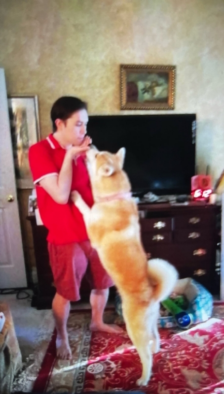 Leluch的第一张照片--福清相亲服务中心