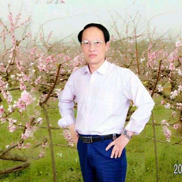 枫叶的第一张照片--福清相亲服务中心