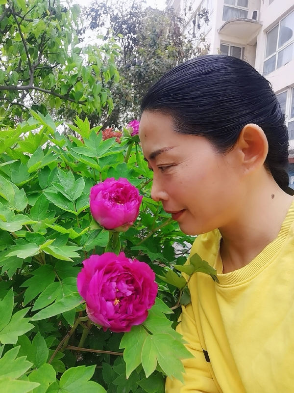 厚德载物的第一张照片--福清相亲服务中心