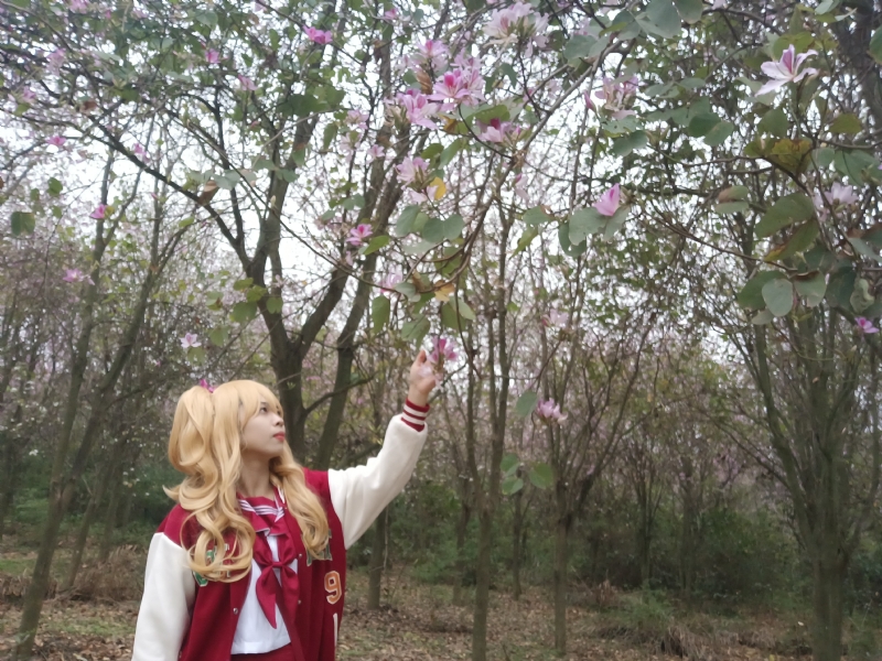 暮秋的第二张照片--福清相亲服务中心