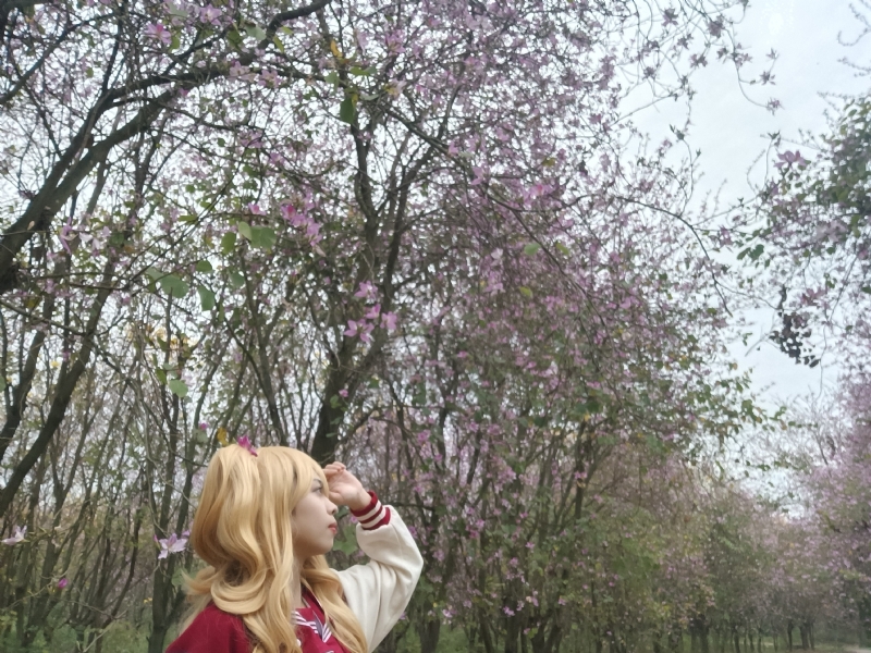 暮秋的第五张照片--福清相亲服务中心