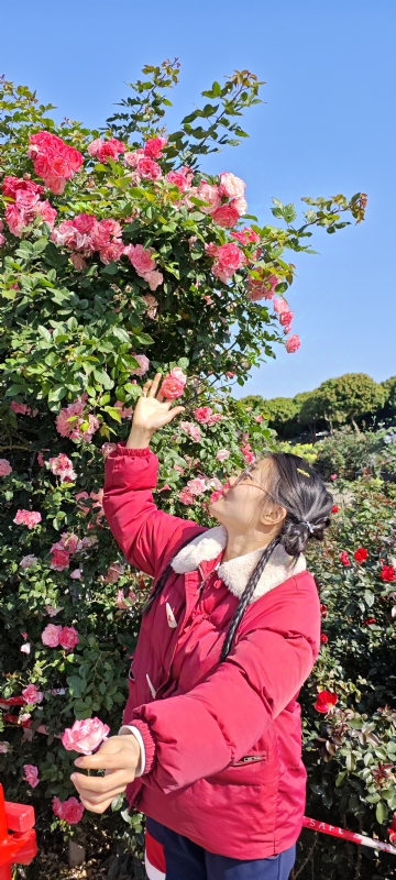 狗狗的第一张照片--福清相亲服务中心