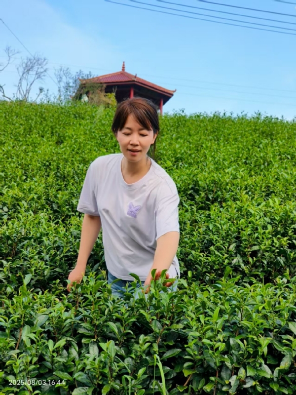 Q绮芳的第一张照片--福清相亲服务中心