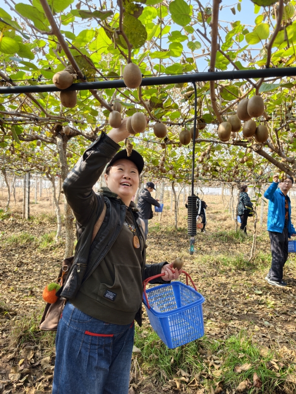 夜莺的第三张照片--福清相亲服务中心